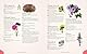 The Complete Language of Flowers: A Definitive and Illustrated History (3) (Complete Illustrated Encyclopedia, Band 3)