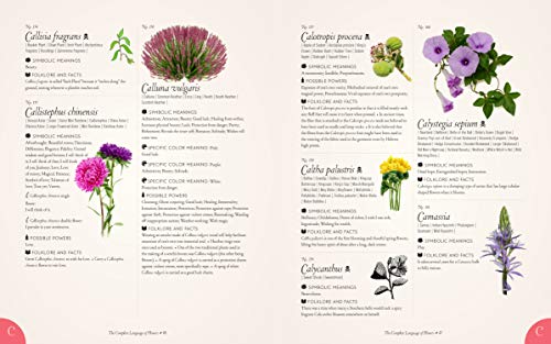 The Complete Language of Flowers: A Definitive and Illustrated History (Volume 3) (Complete Illustrated Encyclopedia, 3) - Image 4