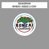  When I Need 2 Cry (Chris M Remix)