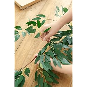 Lingsmomentitalianruscusgreenery59ftartificialsilkrealtouchwillowleafgarlandfakewispyrusticvinestemswagfortablecenterpiecesweddingarchdecordarkgreen Urban Country Home Decor Lings moment italian ruscus greenery 59ft artificial silk real touch willow leaf garland fake wispy rustic vine stem swag for table centerpieces wedding arch decor dark green urban country home decor