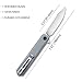 CIVIVI Chronic Folding Pocket Knife - Outdoor Hunting Knife with 3.22 Inch Hollow Grind 9Cr18MoV Blade - G10 Handle Lightweight Flipper Knife for Men (C917A)