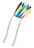 X-Kites Skyfoil Frameless Parafoil Kite: Lazer
