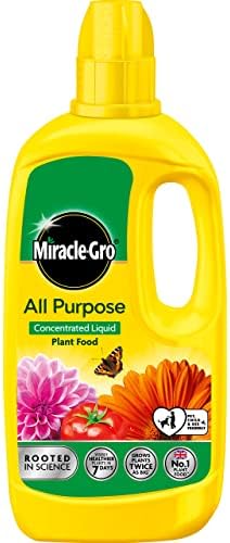 Miracle Gro All Purpose Concentrated Liquid Plant Food, 800ml