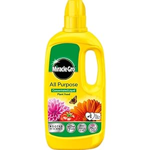 Miracle Gro All Purpose Concentrate...
