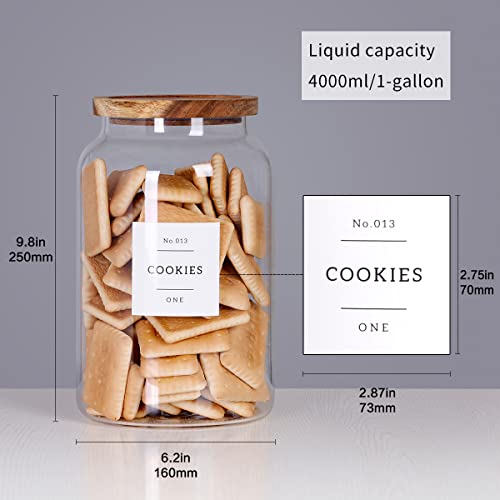 Large Glass Cookie Jar with Airtight Acacia Lid - Image 3