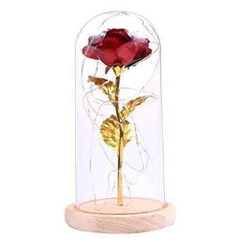 UBERSWEET Rose in Glass Dome Wooden Base Led Flower Lamps Red