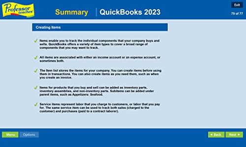 Individual Software PVE-Q23 Professor Teaches Quickbooks 2023 Tutorial Set thumb #4