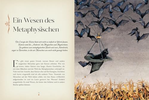 Katzenmagie: Entdecken Sie die magische Kraft der Katzen: Katzenmagie. Entdecken Sie die magische Kraft der Katzen. Spannendes zu Mythen, Legenden und ... Raubkatzen. Mit Ritualen, Fantasiereisen uvm.