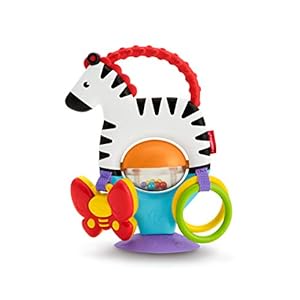 Fisherprice Activiteiten Zebra