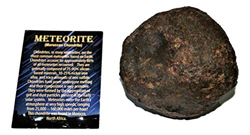 Fossils, Meteorites, & More Moroccan Stony Meteorite Chondrite Genuine 907.1 Grams w/Color Card #14670 35o