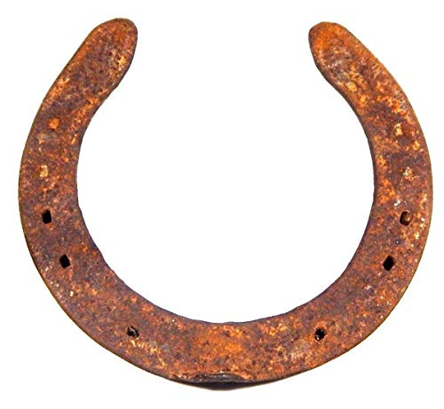 Black Horse Shoe (Kale Ghode Ki Naal) Black Horse Shoe Kale Ghode Ki Naal for Good Luck Home for Main Door10 cm
