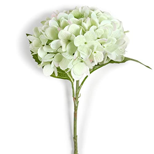 Image of PURE HOME + LIVING Green Faux Hydrangea Spray