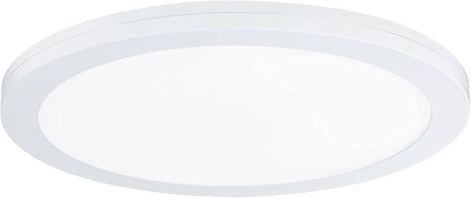 Paulmann 95390 Panel LED empotrable 2en1 Cover-it 330mm redondo incl. 1x22 W luz diurna blanco mate panel de luz plástico 4000 K