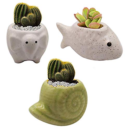 India Meets India Ceramic Flower Pot Planter Plant Pot Indoor Planter Handicraft by Awarded Indian Artisan (Turtle, Dog and Sheep (Set of 3))