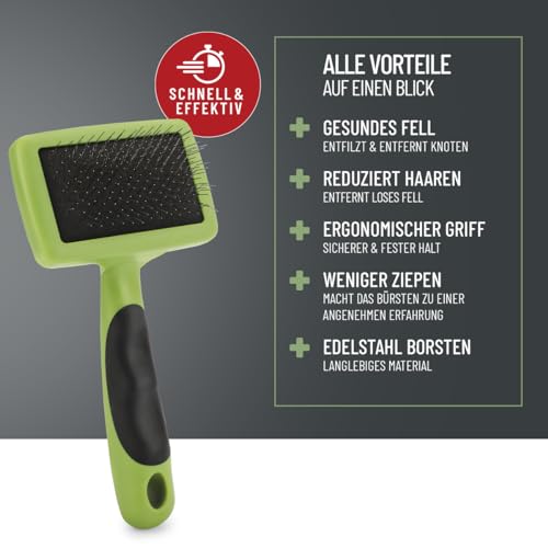 TESTURTEIL SEHR GUT 05/24 ReaVET Hundebürste, Katzenbürste, Zupfbürste für Langhaar Hunde & Katzen I Kleine Rassen I Entfernt sanft Unterwolle, Verfilzungen & Knoten I Haustier Bürsten