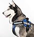 Dogline Trick Dog Vest Patches – Removable Trick Dog Patch 2-Pack with Reflective Printed Letters for Support Dog Vest Harness Collar or Leash Size A (1