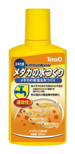 メダカがすぐ死ぬのを防ぐ長生きの秘訣を考えてみた おちゃカメラ