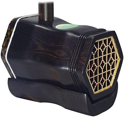 OrientalMusicSanctuary Professional Black Sandalwood Erhu with Engraved Dragon Head - with USA Warranty - Two Stringed Chinese Violin Fiddle Instrument