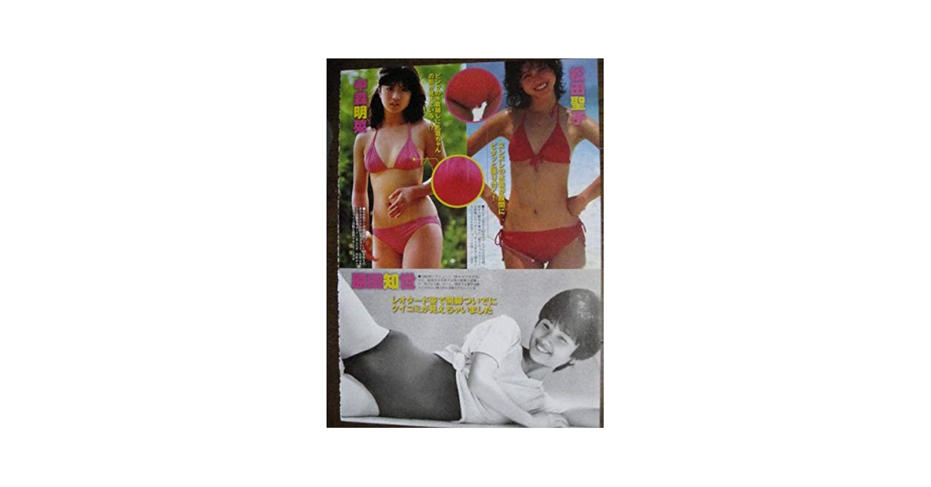 石野真子おまんこ画像 