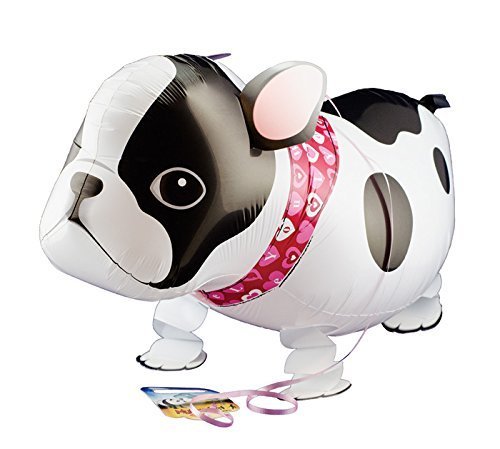 French Bulldogs My Own Pet Collection 19