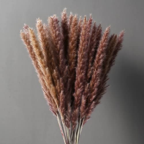 CHBOP - 30 ramo de flores secas para decoración de interiores, fotografía, boda, color blanco Cover