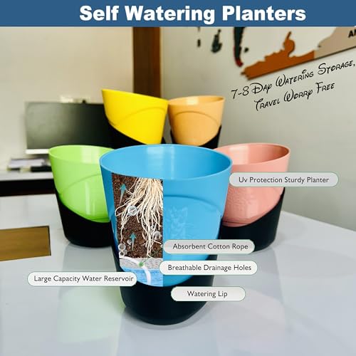 Image of TechHark 5 Pcs Self Watering Cross Pots with Tray for Home & Decoration Planters, Terrace, Garden Plant Container Set (5 Pcs Cross Pot)