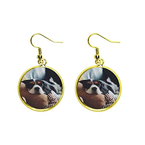 Pendientes de perro para diario joyeria drop animal con foto de Golden Retriever