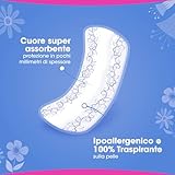 Zoom IMG-2 lines intervallo cotton soft proteggislip Zoom IMG-2 lines intervallo cotton soft proteggislip