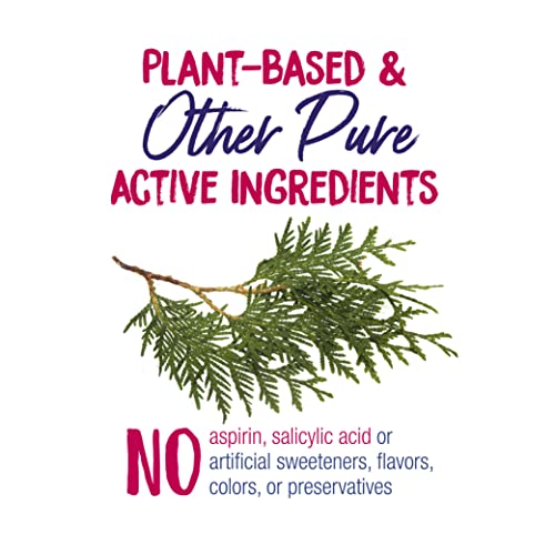 image for Boiron WartCalm for Painless Wart Removal on Hands, Knees, Plantar (Fe