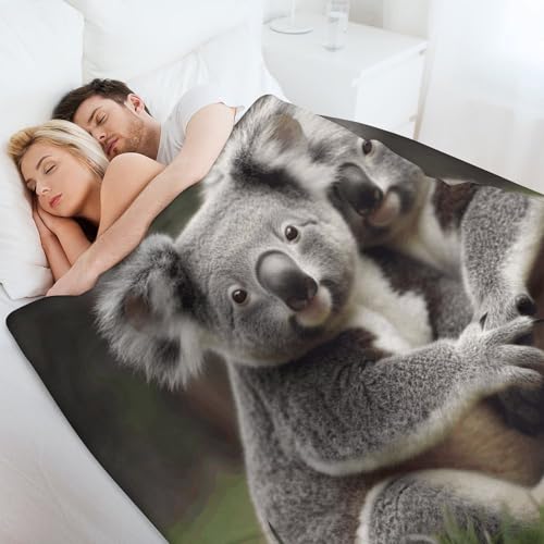 Couverture en micro polaire koala cadeau parfait pour enfant