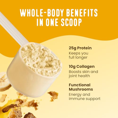 Image of FlavCity Banana Bread Protein Shake Powder, All in One Smoothie + Collagen Peptides, Reishi & Cordyceps - Focus, Skin, Hair & Joint Support - 100% Grass Fed Whey & Real Bananas, 20 Servings