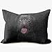 YodSHcEN 50x75 cm Lniana Poszewka Na Poduszki Dekoracyjne MELANCHOLIC PUG poszewka na poduszkę 20x30 Inch na sofę na zewnątrz do sypialni salonu samochodu /A#003