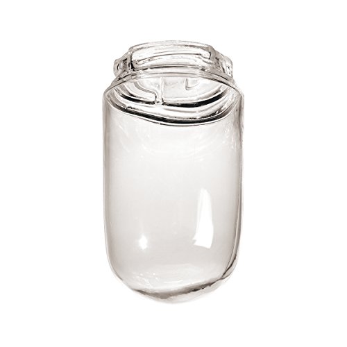 Image of Millennium Lighting RGCNR Glass Replacement Shade