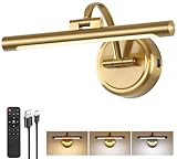 Rechargeable Picture Light for Wall, Dimmable Art Lights for Painting, Battery Operated Wall Sconce with Remote, 3 light Color,Timer & Brightness Setting for Artwork, Gallery(Brass, 12inch)