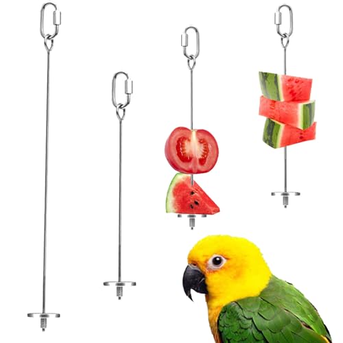 parakeet food