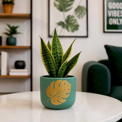 Image of Urban Plant Monstera Muse Handcrafted Terracotta Planter | Monstera Leaf Design | Indoor Clay Pot for Living Room | Artisan Decorative Flower Pot | Drainage Hole | 4.5 Inch