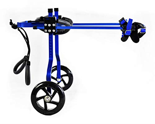 Best Dog Wheelchairs For Back Legs