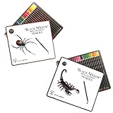 Black Widow and Scorpion Bundle