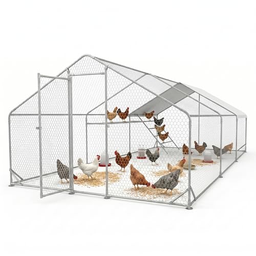 Belinova Large Metal Chicken Coop