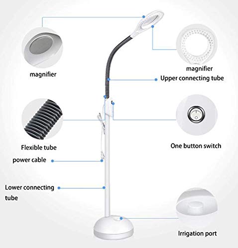 Lente d'ingrandimento, lampada da terra con ingrandimento a LED 5X - Lente d'ingrandimento a spettro completo luminoso a luce diurna Lente in vetro illuminata - Luce da terra a collo d'oca regolabil