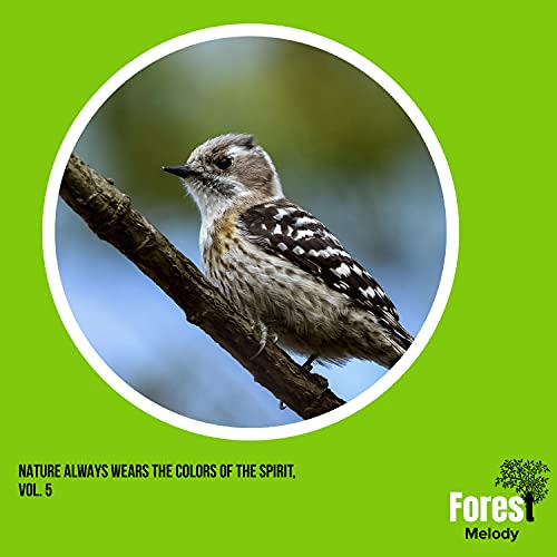Play Nature Always Wears the Colors of the Spirit, Vol. 5 by VARIOUS