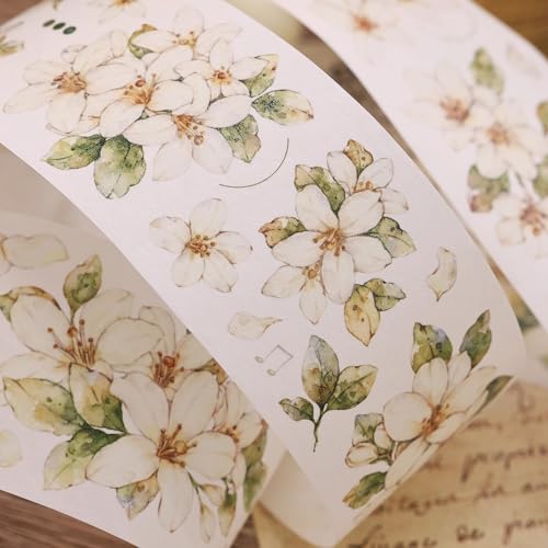 V[ }XLOe[v [X ԕ A̓\莆 pet e[v R[W Jt 킢 CeA  DIYp Lp LL ̎q fRV[   Ђ܂  蒠V[ hV[ ins ? (t,a) 