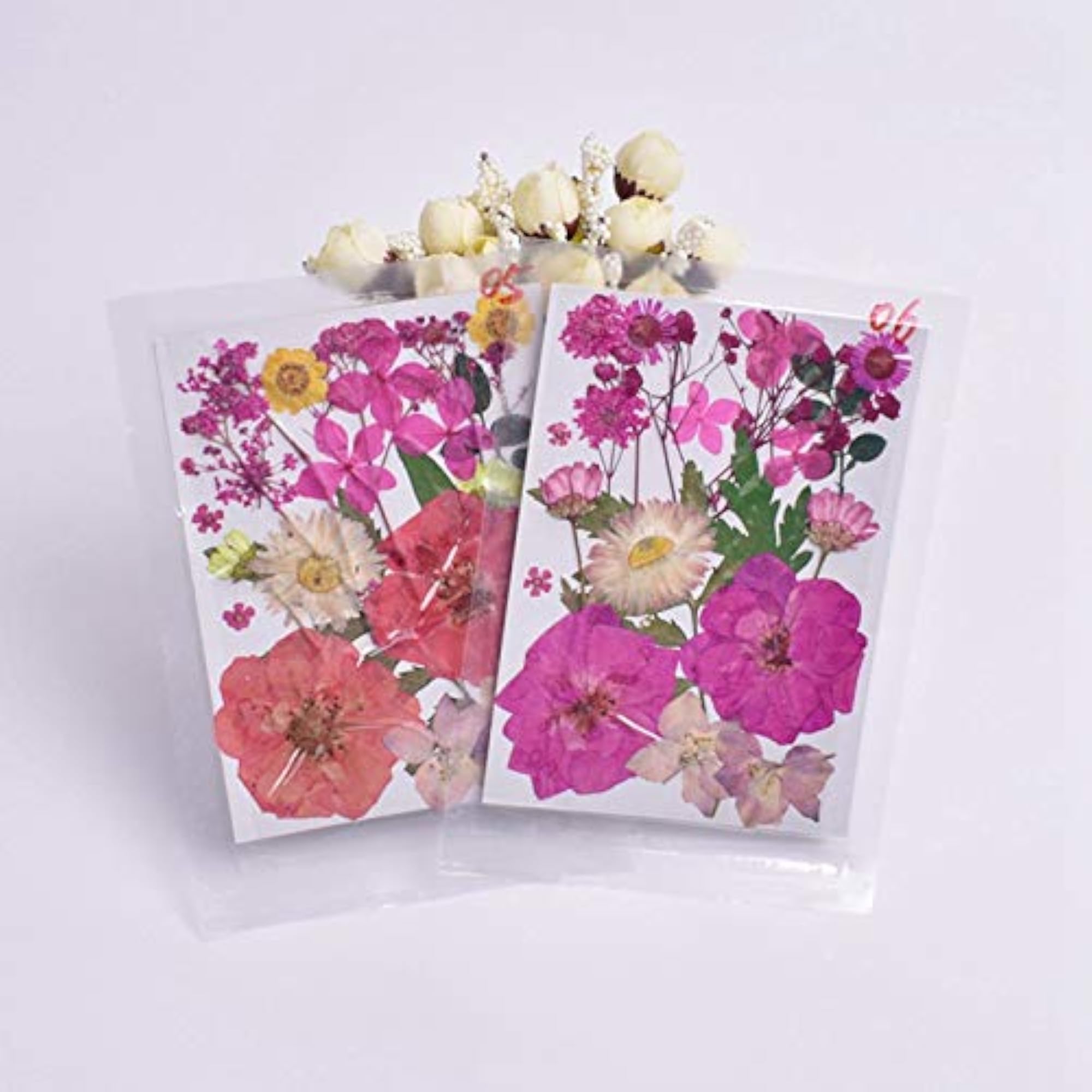 Dried Pressed Flowers Assorted DIY Dried Flower Set