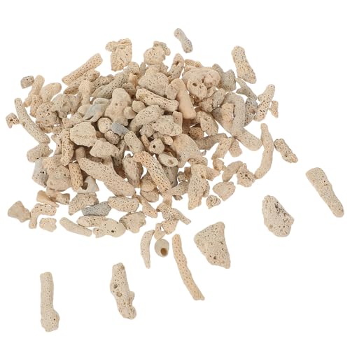 Filtration et élimination des excès alimentaires corail Lurrose - 2