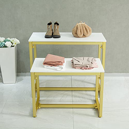 Civana Metal Shoe Handbag Display Stand, Nesting Tables 2 Piece Set, Display Riser Shelf For Retail Stores, Iron And Wood, Gold #TOP2