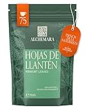 Té de Llantén Alchemara 150g – Suave Armonía desde la Pradera de la Naturaleza