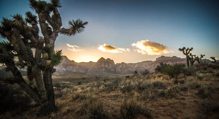 adrium Póster 150 x 80 cm: Red Rock Canyon Las Vegas Nevada al atardecer (112487854)