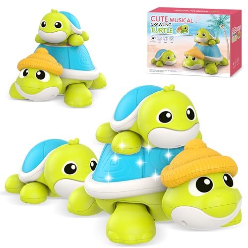 Musical Turtle Crawling Toy Set