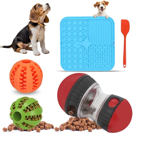 fyfracing Slow Feeding Interactive Set