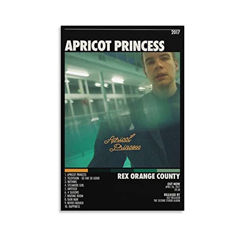 Poster Rex Orange County Toile Décoration Salon et Bureau Sans Cadre